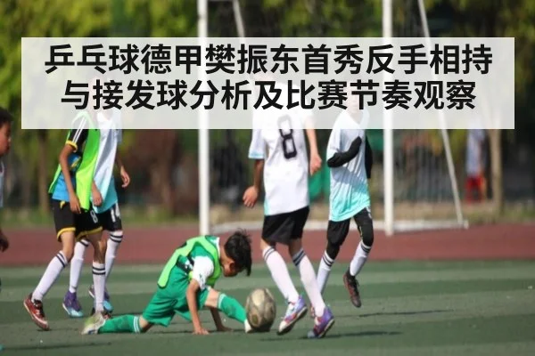 乒乓球德甲樊振东首秀反手相持与接发球分析及比赛节奏观察